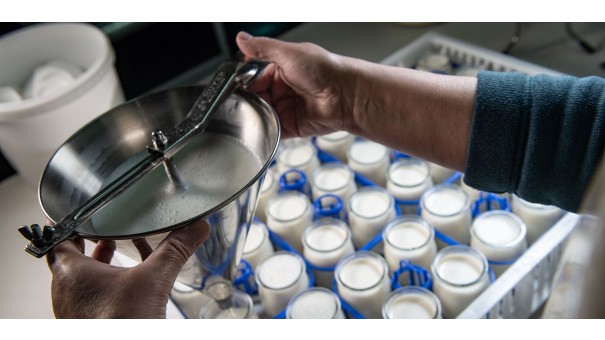 AdobeStock 214431543