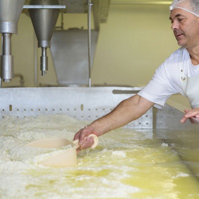 fabrication fromage specifique