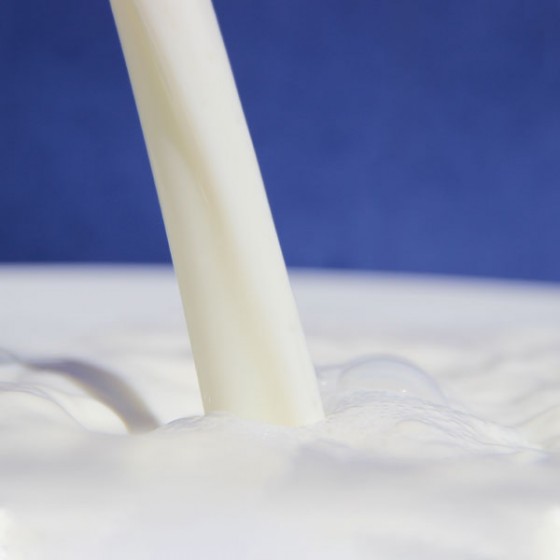 fiche fromage lait pasteurisé