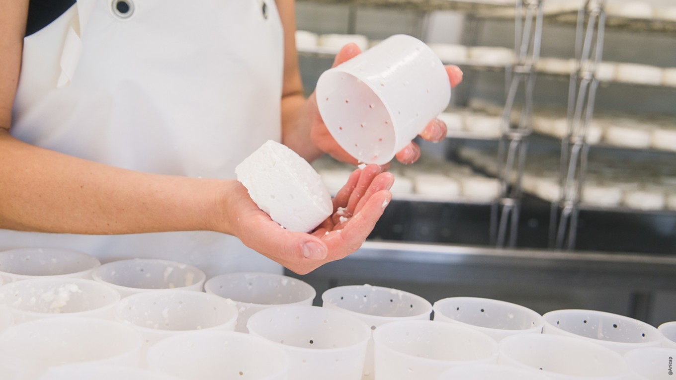 Ecrémeuse  Matériel de fromagerie, équipement et fourniture