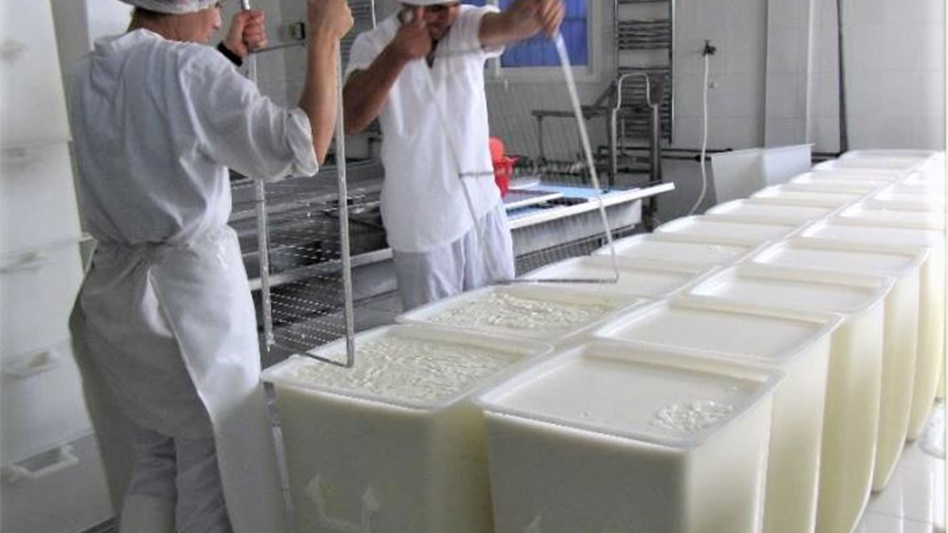 process produit laitier pate molle maturation camembert