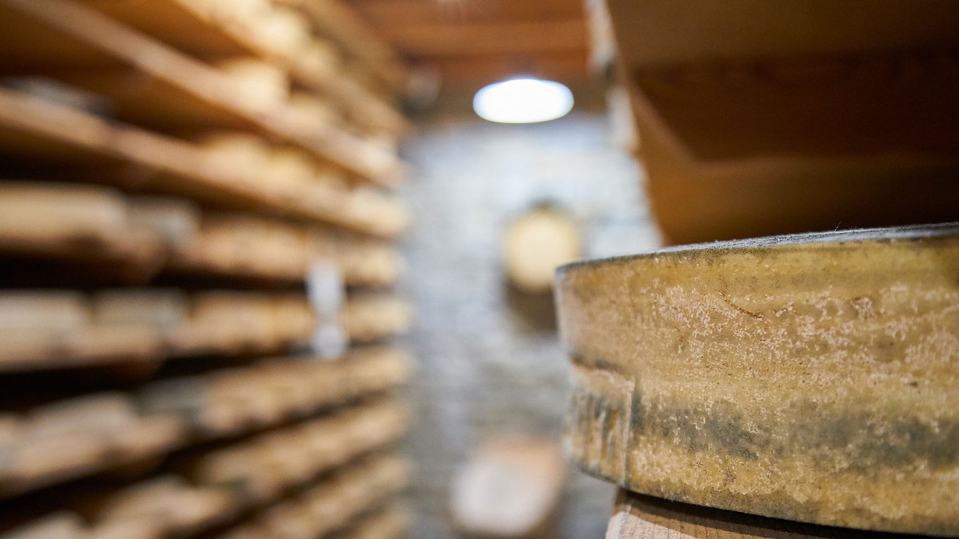 process produit laitier pate pressees cuite affinage