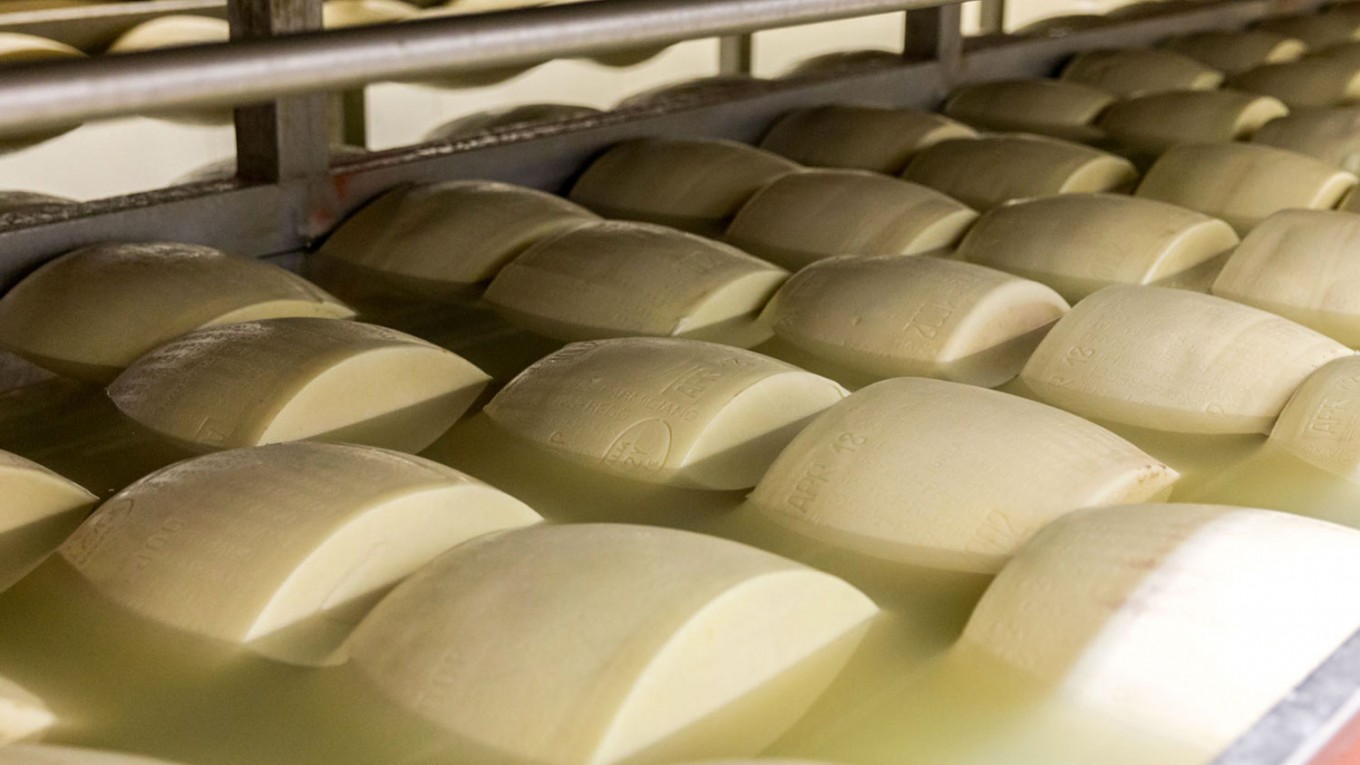 process produit laitier pate pressees cuite salage